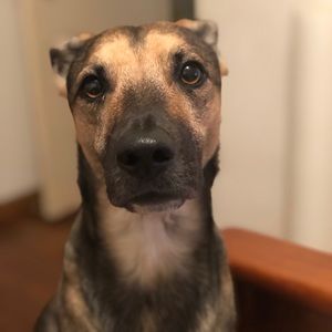 Meet your Posher, Ramona